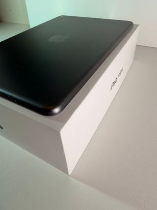 iPad mini 5 64GB + Apple Pencil + Custodia