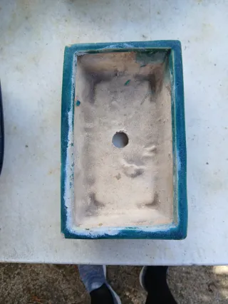 4 Macetas para Bonsái