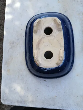 4 Macetas para Bonsái