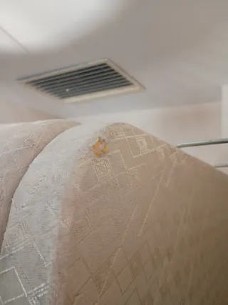 Canapé y colchón 90cm