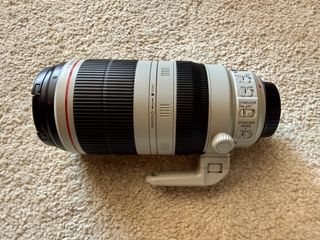 Canon EF 100-400mm f/4.5-5.6L IS II USM