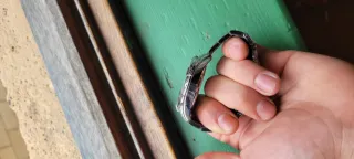 Reloj Festina Multifunción F20623/4