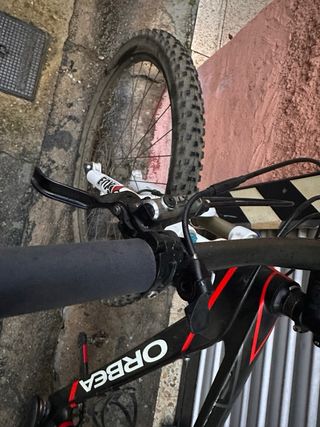 Orbea Alma M50 Carbono 29”