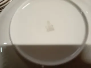 Servizio piatti in porcellana