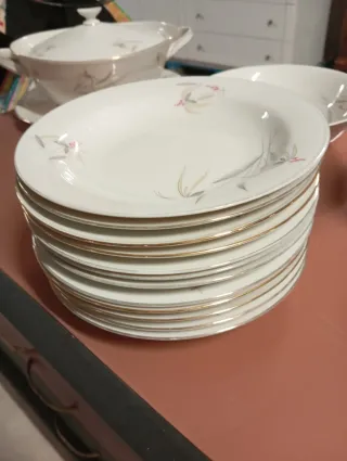 Servizio piatti in porcellana