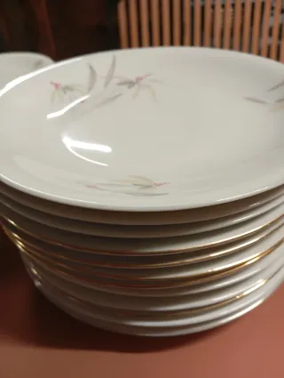 Servizio piatti in porcellana