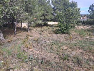 Terreno en venta en Turís