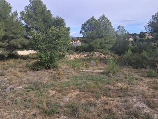 Terreno en venta en Turís