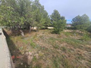 Terreno en venta en Turís