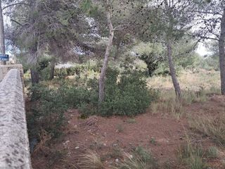 Terreno en venta en Turís