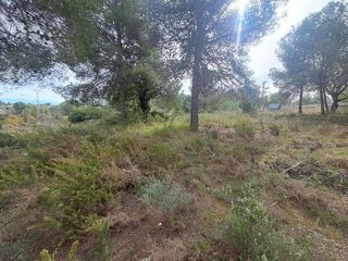 Terreno en venta en Turís