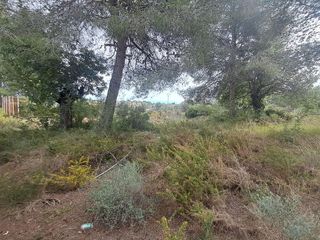 Terreno en venta en Turís