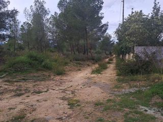 Terreno en venta en Turís