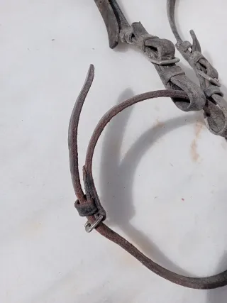 Cabezada de cuero para caballo regalo