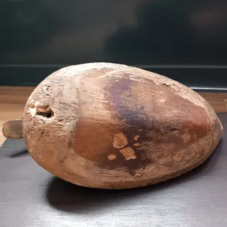 Pato de madera antiguo para caza