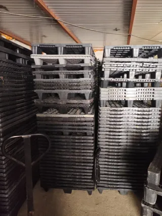 Palets de plástico 120x80