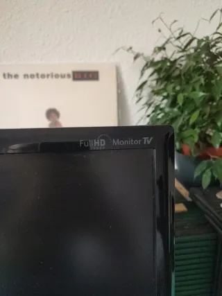 LG Flatron Full HD Monitor TV