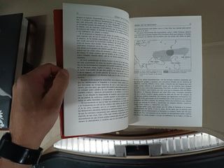 Los indoeuropeos y los orígenes de Europa. Lenguaj