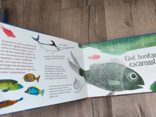 Cuento Te Presento a mi Familia PECES