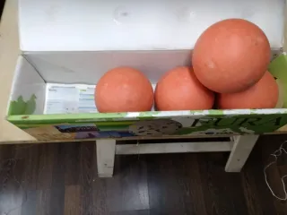 Set 4 Bocce + Pallino