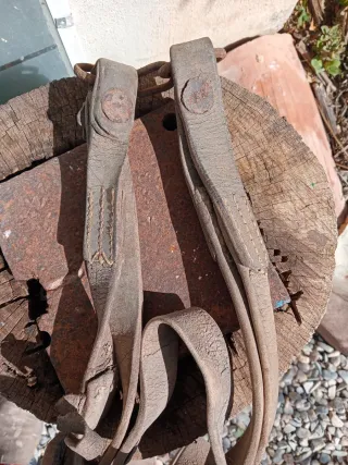 Cabezada antigua de cuero