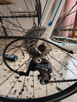 Merida Scultura 100 – Talla 56/58 – Shimano 105