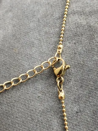 Medalla Acuario Acero Quirúrgico Baño Oro