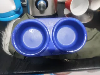 Set di prodotti per cani taglia Yorkshire