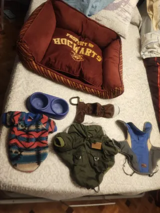 Set di prodotti per cani taglia Yorkshire