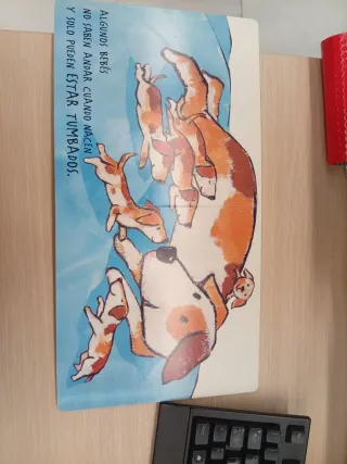 El libro de los bebés de SM, sin Estrenar