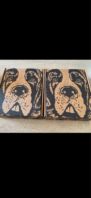 Hotline Miami 1 y 2 PS4 - Edición Especial