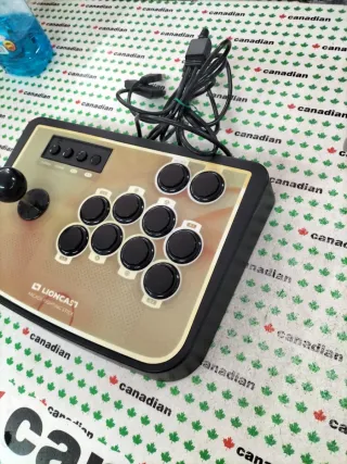 Lioncast Arcade Fighting PS2/PC