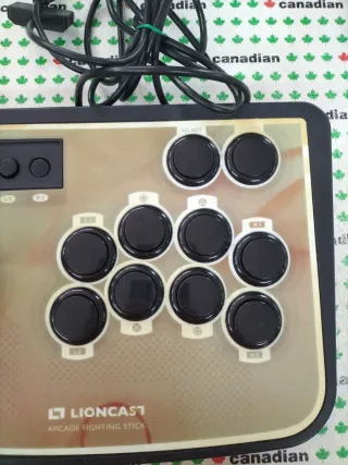 Lioncast Arcade Fighting PS2/PC
