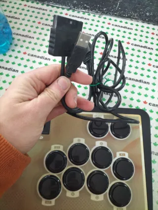 Lioncast Arcade Fighting PS2/PC