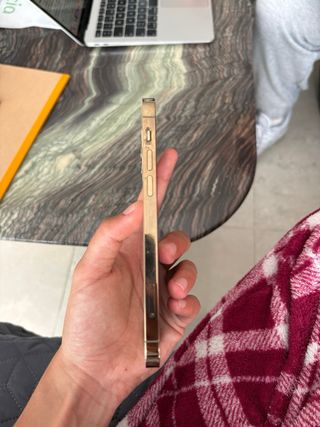 iPhone 12 Pro Dorado/Gris