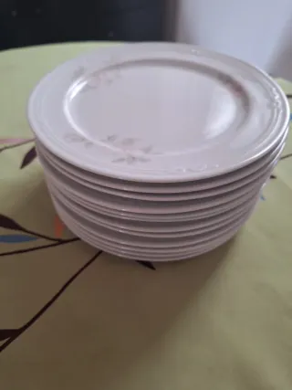 Vajilla de porcelana con flores rosas