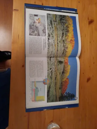 Origenes/Origins: La Evolucion de los Continent...