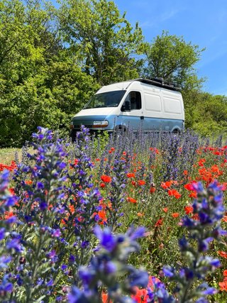 Renault Master Camperizada L2H2 · Motor 50.000 km