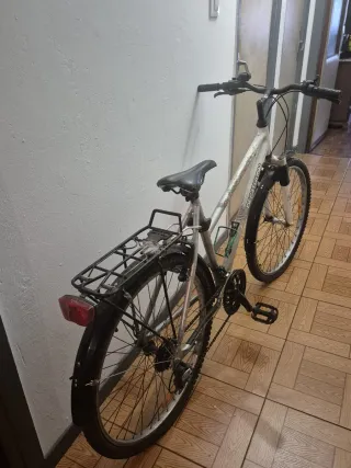 Bicicleta de adulto