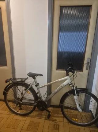 Bicicleta de adulto