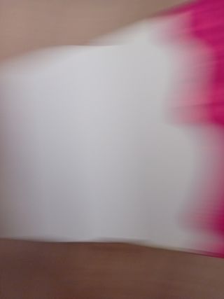 Il mio diario. Violetta