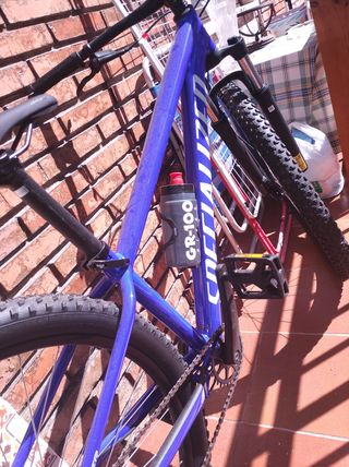 Bicicleta Montaña L rockhopper sport vn sphr/dune