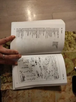 Diccionari visual Duden