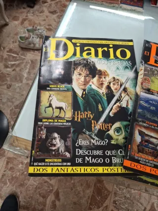 Lote diario de los magos y brujas harry potter