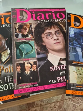 Lote diario de los magos y brujas harry potter