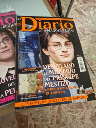 Lote diario de los magos y brujas harry potter
