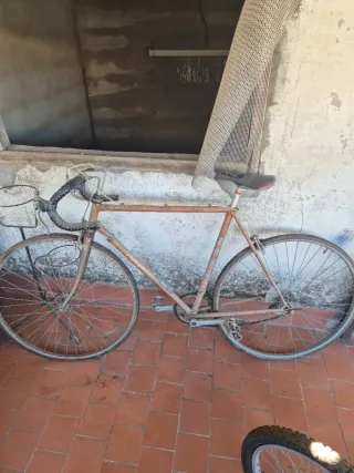 Bicicleta Zeus Clásica