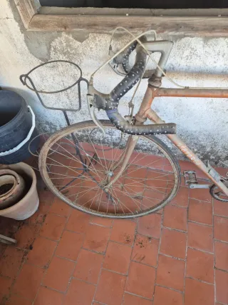 Bicicleta Zeus Clásica