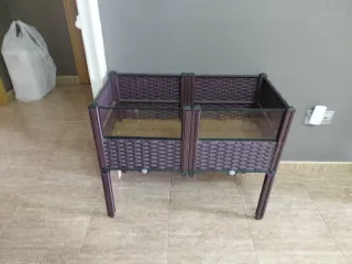 Tortuguero con cristal