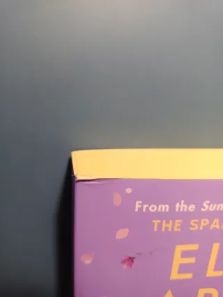 Libro "The fiancé dilemma"